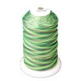 Exquisite Medley Variegated Thread - 102 Forest