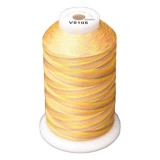 Exquisite Medley Variegated Thread - 105 Citrus