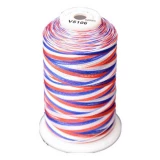 Exquisite Medley Variegated Thread - 106 Patriotic