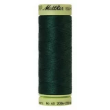 Silk Finish Ctn 60wt 220yd 5ct SWAMP BOX05