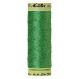 Silk Finish Ctn 60wt 220yd 5ct VIBRANT GREEN BOX05