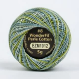 Eleganza Variegated Thread 5g N8 Everglades BOX05