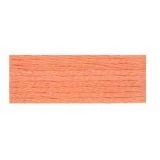 Embroidery Floss 8.7yd 12ct APRICOT BOX12