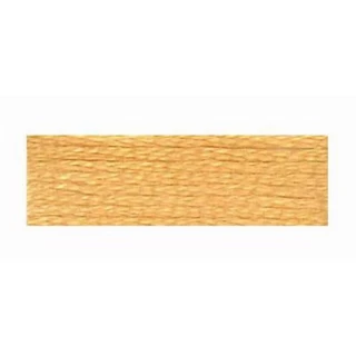 Embroidery Floss 8.7yd 12ct PALE GOLDEN BROWN BOX12