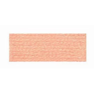 Embroidery Floss 8.7yd 12ct PEACH BOX12