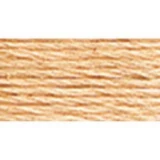 Embroidery Floss 8.7yd 12ct TAWNY BOX12