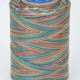 Machine Quilting Multicolor1200yds, Mexicana